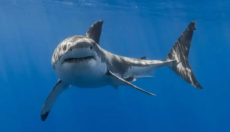 邢台金丰重工机械有限公司轮播图2