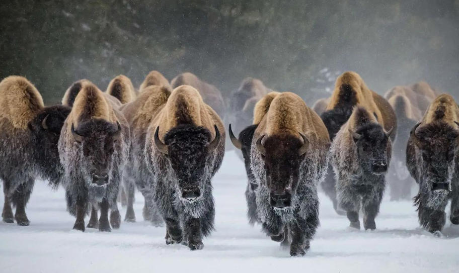 邢台金丰重工机械有限公司轮播图1